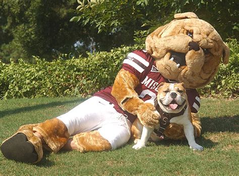 18 Reasons Why Bulldogs Are Undeniably The Best College Mascots - BarkPost