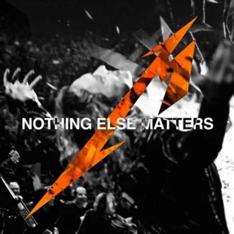 METALLICA Metallica & San Francisco Symphony: Nothing Else Matters reviews