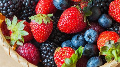 Ultimate Guide to Growing the Best Berries