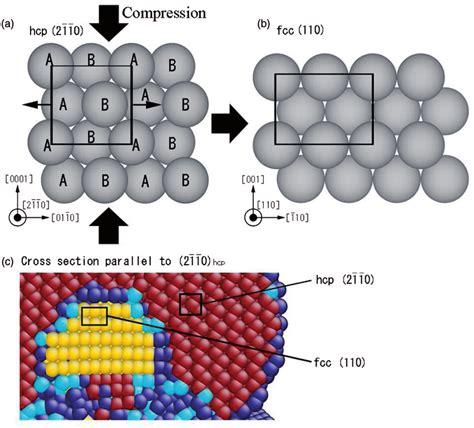 (a) The crystal structure of the hcp phase viewed along the h2 1 10i... | Download Scientific ...