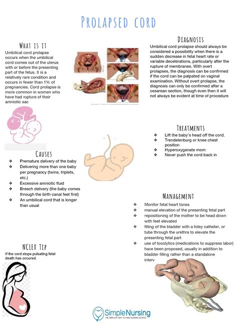 Prolapsed Cord - NCLEX Simple Nursing - Prolapsed cord What is it Umbilical cord prolapse occurs ...