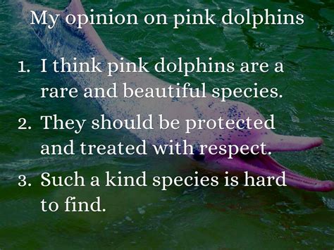 Pink Dolphins by ellane slagle