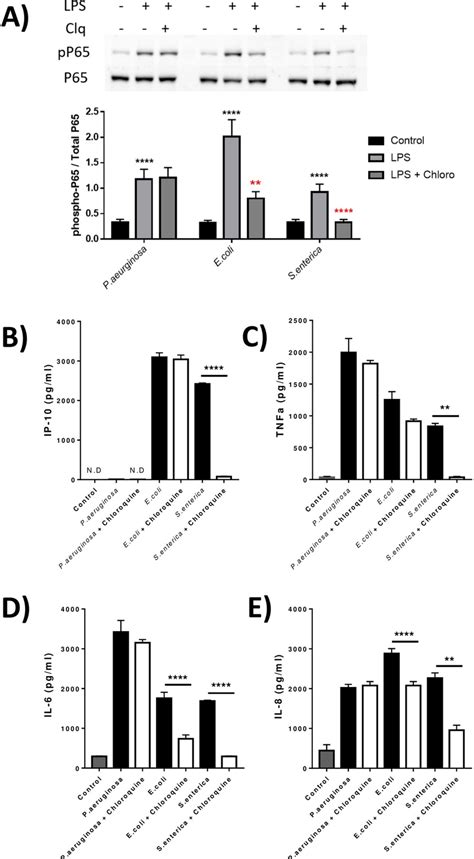 E. coli and S. enterica, but not P. aeruginosa LPS signal partially via ...