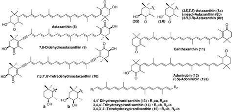 Characteristic carotenoids in sea snails. | Download Scientific Diagram