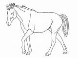 Horse Drawing coloring Page  Download Print Or Color Online For Free sketch template