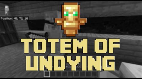 How to Get the Totem of Undying - YouTube