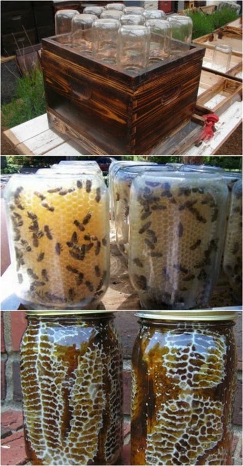 10 DIY Beehives You Can Add To Your Backyard Today - DIY & Crafts