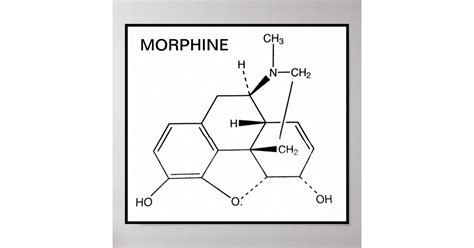 MORPHINE CHEMICAL STRUCTURE POSTER | Zazzle