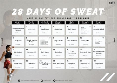 28 Days of Sweat - Beginner - Mady Morrison - Yoga Lifestyle