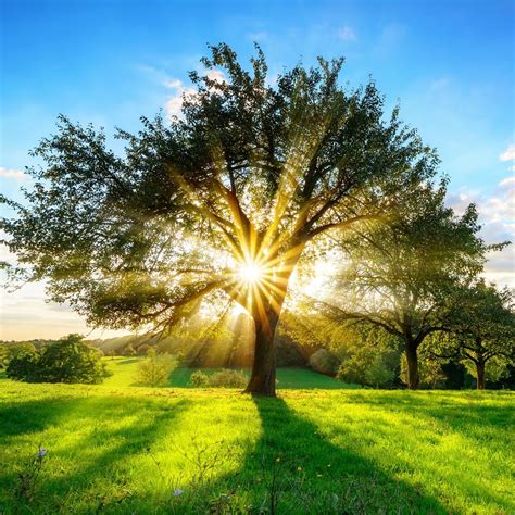 Early morning sunrise in a rural part of Germany [OC] [1080x1080] # ...