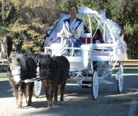 These 8 Miniature Horse Carts Are Totally Adorable! Barrel Racing Saddles, Barrel Racing Horses ...