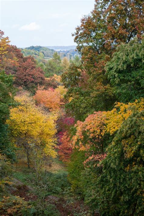 Autumn Colours at Winkworth Arboretum. Stock Photo - Image of surrey ...