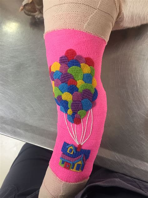 Up-inspired bandage art at the clinic today #Disney | Clinic art, Happy vet, Felt animal patterns