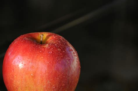Red Apple Fruit Photography · Free Stock Photo