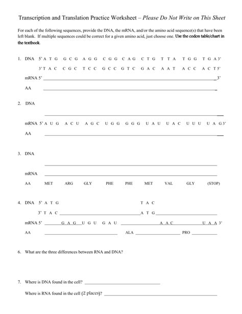 Dna Transcription And Translation Worksheet – Imsyaf.com