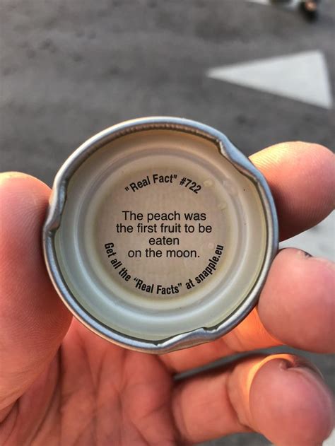 Cool fact inside the cap of Snapple | Snapple facts, Real facts, Fun facts