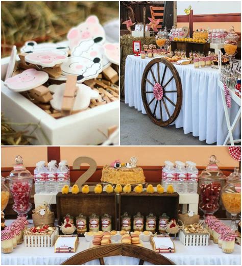 Southern Blue Celebrations: FARM THEME PARTY