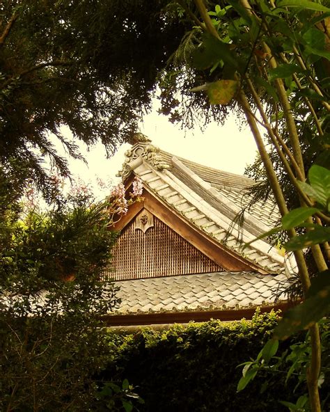 Framed | The Japanese Pagoda Roof through the trees at Hamil… | Flickr