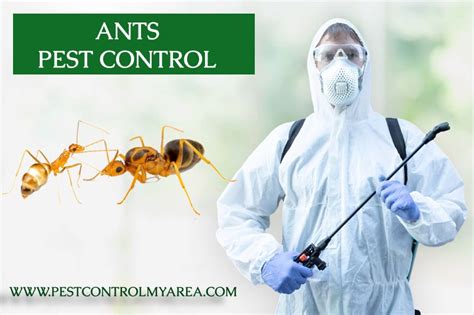 Ants Pest Control Services Removal, Exterminator United States