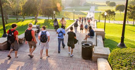 Dorms in UCLA: Pictures, Video Tours, & Housing Options