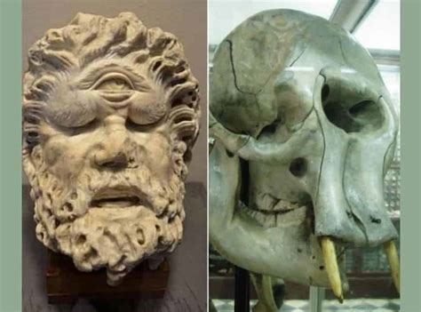 CYCLOPS: Did Elephant Skulls Inspire The Ancient Greek Mythological Figure?