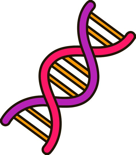 DNA clipart. Free download transparent .PNG | Creazilla