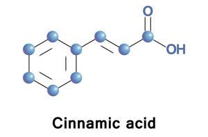 Cinnamic acid sources, health benefits and uses