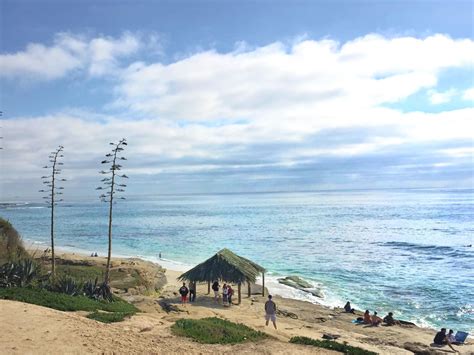 Windansea Beach: Why It's Our Favorite in La Jolla San Diego