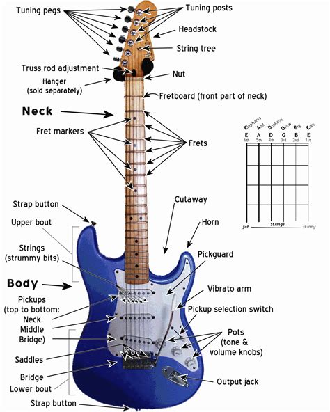 Diagram Of Electric Guitar Body