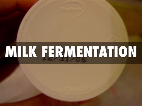 Milk Fermentation by pross