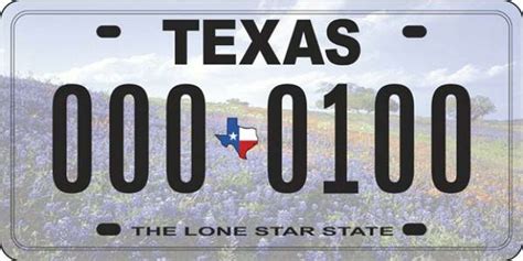 Cast your vote for one of five Texas license plate designs