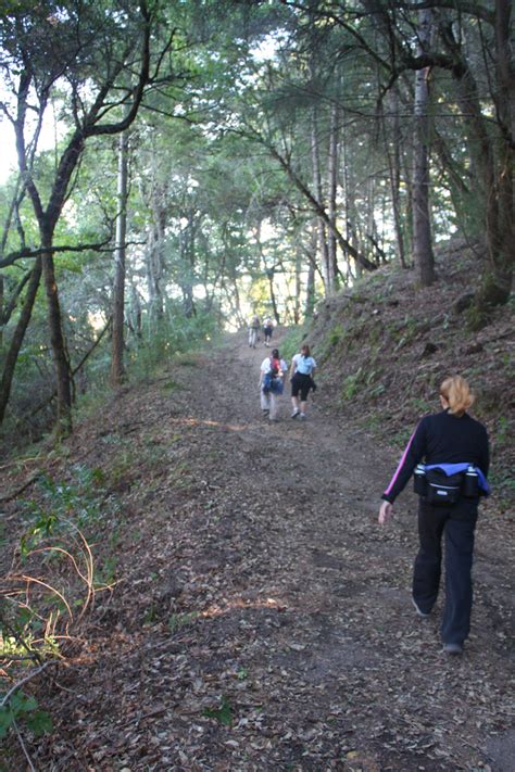 My Romantic Home: Hiking around Northern California