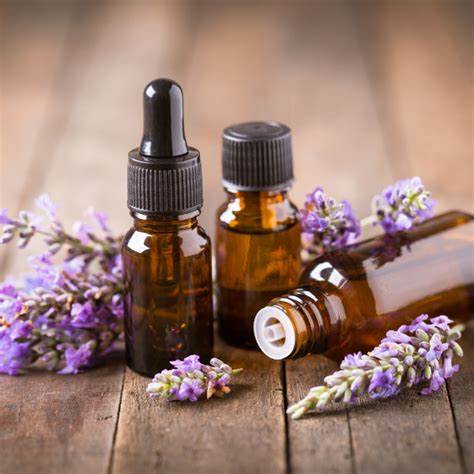 Where Are Your Pulse Points | How To Aromatherapy | Scentered