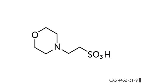 MES Buffer | CAS 4432-31-9 - Products - Hopax Fine Chemicals