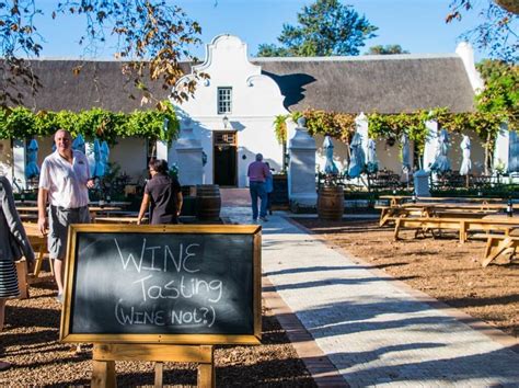 Wine Tour from Cape Town with Wine Flies: the Stellenbosch Region