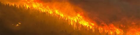 Wildfire Smoke: Health Effects and How to Protect Yourself - Dell Tech