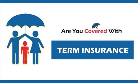 How Term Insurance Comes With Low Premiums | Trusted Indian