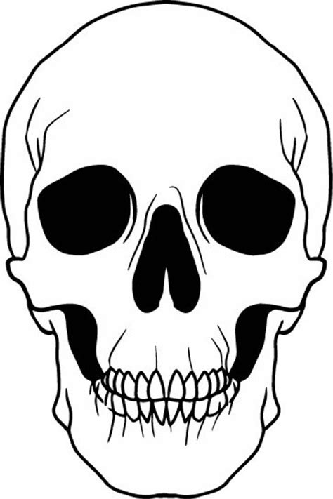 Skeleton Face Clip Art