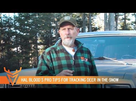 HAL BLOOD'S Pro Tips for Tracking Deer in the Snow | Whitetail How-To ...