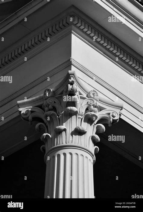 Corinthian Column Capitals at a large Texas University Stock Photo - Alamy