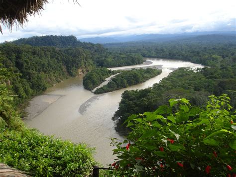 Amazon river basin, Ecuador | River basin, River, Amazon river