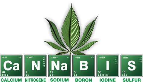 Cannabis De Malezas Breaking Bad · Imagen gratis en Pixabay