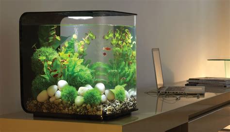 Model dan Harga Aquarium Mini Terbaru