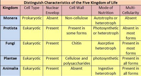 Characterstics and explanation of five kingdom explanation - Brainly.in