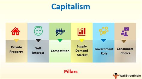 Capitalism (Definition, Examples)| How Capitlalist Economy Work?