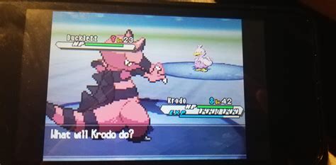 [5]shiny DUCKLETT : ShinyPokemon