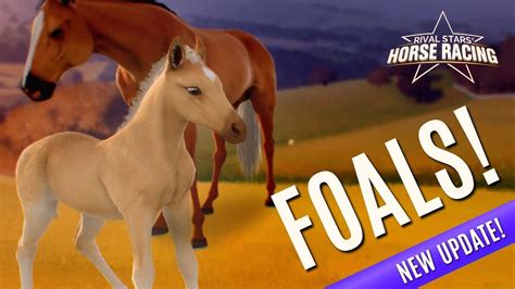 Rival Stars Horse Racing Developer Update Ep. 6 - Foals - YouTube Horse ...