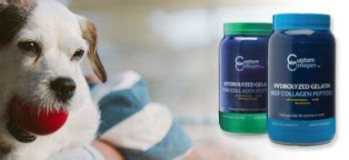 Collagen for Dogs — Why Collagen Supplements are Great for Puppies, Too ...