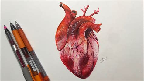 رسم قلب Heart drawing - YouTube