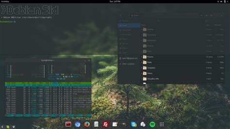 [Gnome] on Debian Sid - includes 60 how-to screenshots : r/unixporn